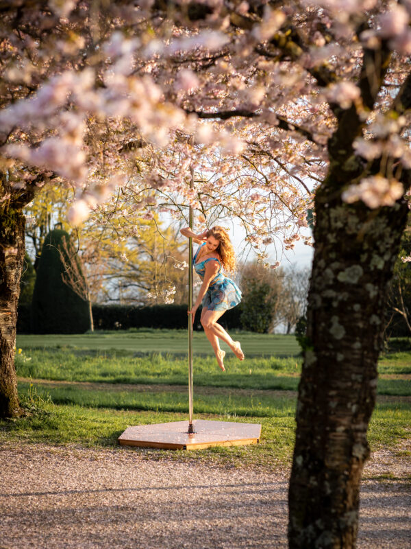 Cerisiers - 20.03.2026 - Photos : KSBPhotography